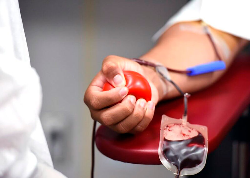 Doação de Sangue e Plaquetas - Hormese